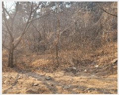  2025Ÿ��10153  �󰡰��