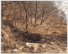  2025Ÿ��10153  �󰡰��