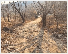  2025Ÿ��10153  �󰡰��