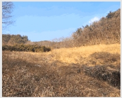  2025Ÿ��10153 �泲 â���� ���ر� �Ϻε� 797-1      ����(��)���