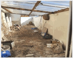  2025Ÿ11132 泲 ؽ ʸ ſ 433-3      Ұ