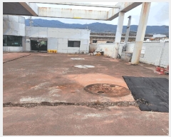  2025Ÿ11132 泲 ؽ ʸ ſ 433-3      Ұ