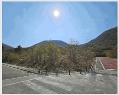  2025Ÿ��11213  �������