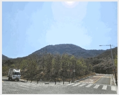  2025Ÿ��11213  �������