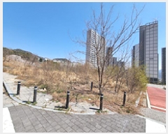  2025Ÿ��11213  �������