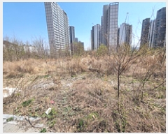  2025Ÿ��11213  �������