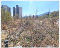  2025Ÿ��11213  �������