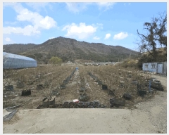  2025Ÿ��11222 �泲 ���ؽ� �뵿�� ���߸� 558-3      ����(��)���