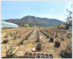  2025Ÿ��11222 �泲 ���ؽ� �뵿�� ���߸� 558-3      ����(��)���