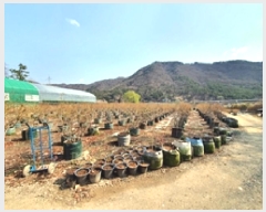  2025Ÿ��11222 �泲 ���ؽ� �뵿�� ���߸� 558-3      ����(��)���