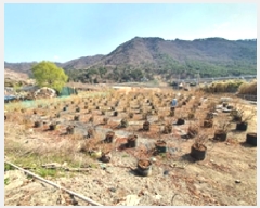  2025Ÿ��11222 �泲 ���ؽ� �뵿�� ���߸� 558-3      ����(��)���