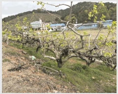  2025Ÿ��11258 �泲 â���� ��â�� ���� �ݻ긮 65     ����(�Ӿ�)���