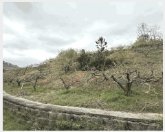  2025Ÿ��11258 �泲 â���� ��â�� ���� �ݻ긮 65     ����(�Ӿ�)���