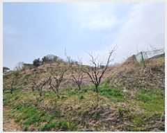  2025Ÿ��11258 �泲 â���� ��â�� ���� �ݻ긮 65     ����(�Ӿ�)���