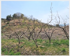  2025Ÿ��11258 �泲 â���� ��â�� ���� �ݻ긮 65     ����(�Ӿ�)���