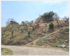  2025Ÿ��11258 �泲 â���� ��â�� ���� �ݻ긮 65     ����(�Ӿ�)���