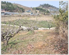  2025Ÿ��11258 �泲 â���� ��â�� ���� �ݻ긮 65     ����(�Ӿ�)���