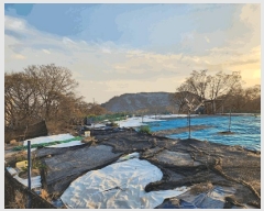  2025Ÿ��11276 �泲 â���� ���ر� �Ȱ� 126      ����(��1)���