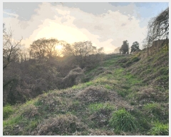  2025Ÿ��11276 �泲 â���� ���ر� �Ȱ� 126      ����(��1)���