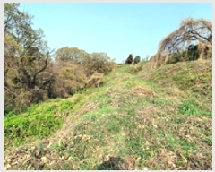  2025Ÿ��11276 �泲 â���� ���ر� �Ȱ� 126      ����(��1)���