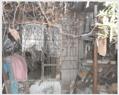  2025Ÿ��11329  ���ð��