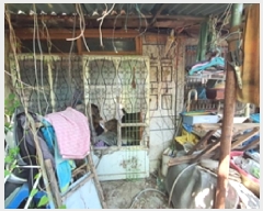  2025Ÿ��11329  ���ð��