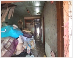  2025Ÿ��11329  ���ð��