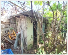  2025Ÿ��11329  ���ð��