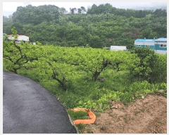  2025Ÿ��11374  �����