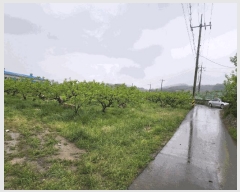  2025Ÿ��11374  �����