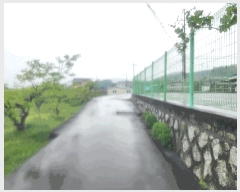  2025Ÿ��11374  �����