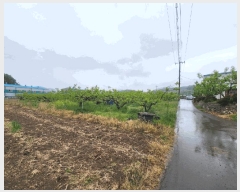  2025Ÿ��11374  �����