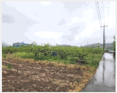  2025Ÿ��11374  �����