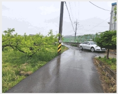  2025Ÿ��11374  �����