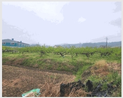  2025Ÿ��11374  �����