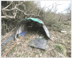  2025Ÿ��361 �泲 â���� ��â�� ������ 184-12      ���ð��