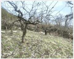  2025Ÿ��361  ���������