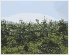  2025Ÿ��479 �泲 ���ؽ� ���ʸ� ������ 830-4      ����(��)���