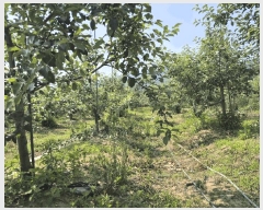  2025Ÿ��479 �泲 ���ؽ� ���ʸ� ������ 830-4      ����(��)���