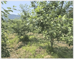  2025Ÿ��479 �泲 ���ؽ� ���ʸ� ������ 830-4      ����(��)���