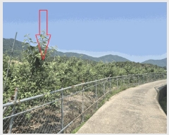  2025Ÿ��479 �泲 ���ؽ� ���ʸ� ������ 830-4      ����(��)���