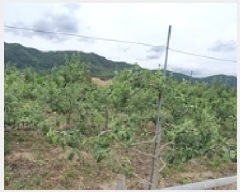  2025Ÿ��479 �泲 ���ؽ� ���ʸ� ������ 830-4      ����(��)���