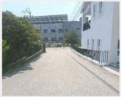  2025Ÿ��496 �泲 ���ؽ� ������ 353-1       ����(��)���