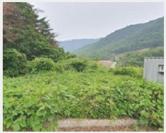  2025Ÿ��505 �泲 ���ؽ� �󵿸� ������ 1037-27      ����(�Ӿ�)���