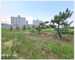  2025Ÿ��516 �泲 â���� ��â�� ���� �Ź渮 921-8     ����(����)���