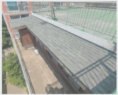  2025Ÿ��542 �泲 ���ؽ� ������ 38-6       �����ڽü����