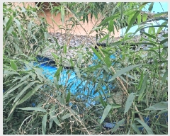  2025Ÿ��580 �泲 ���ؽ� ������ ��â�� 605-8      �ܵ�����,�����ð��