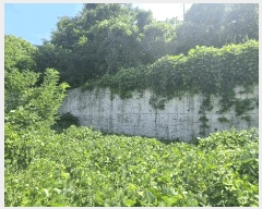  2025Ÿ��647 �泲 ���ؽ� ������ 620-7       ����(�Ӿ�)���