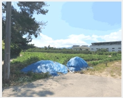  2025Ÿ��657  ����