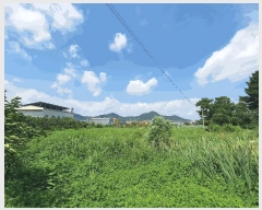  2025Ÿ��657  ����